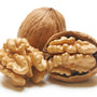 Nueces Mariposa blanca año 2025